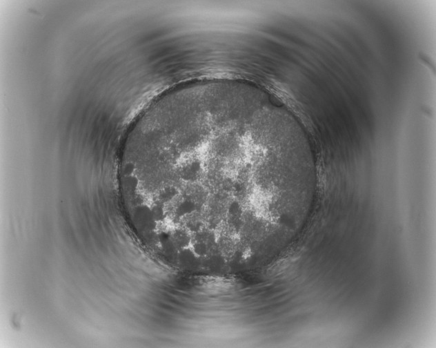 X0000101430347200807281006