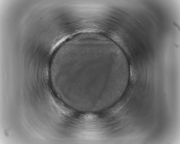 X0000101430348200807281006