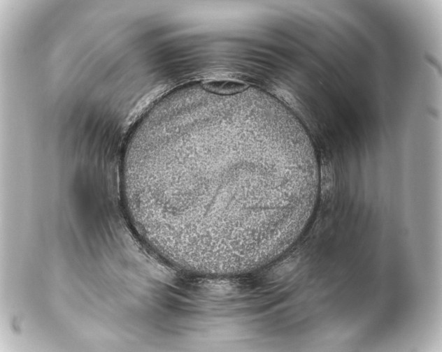 X0000101430349200807281006