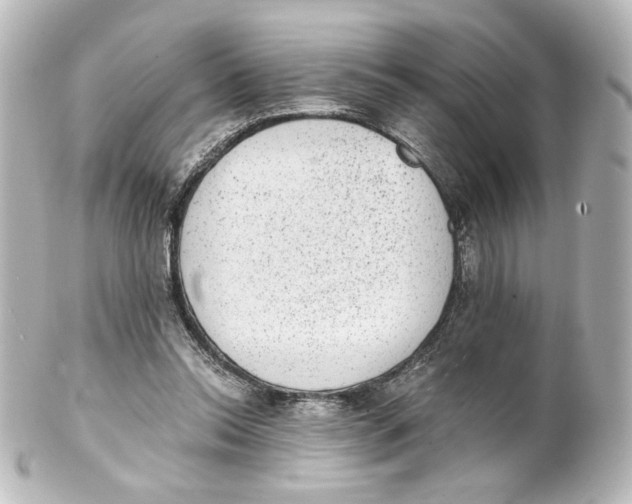 X0000101430350200807281006