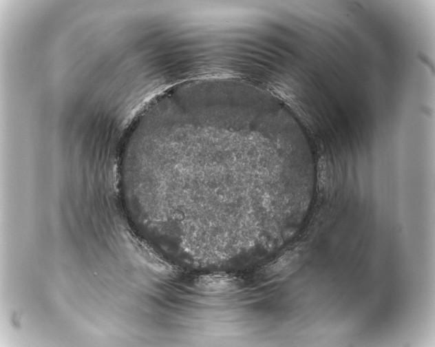 X0000101430351200807281006