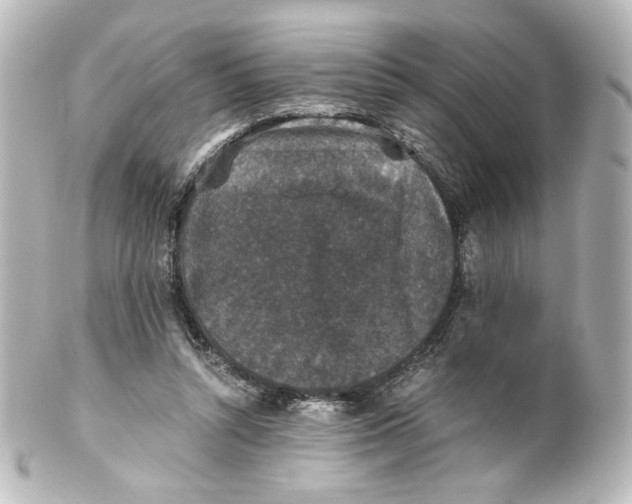 X0000101430352200807281006