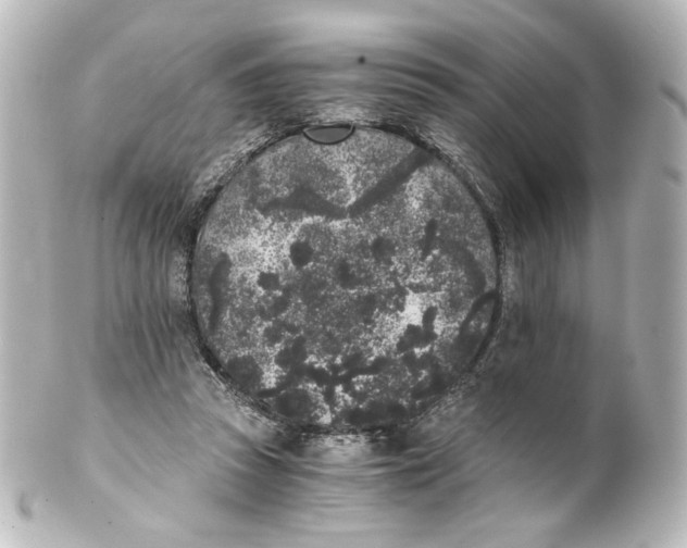 X0000101430353200807281006