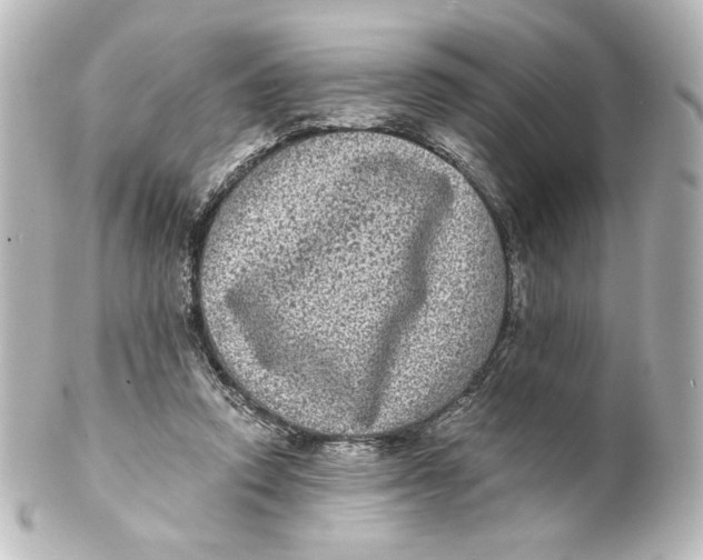 X0000101430354200807281006