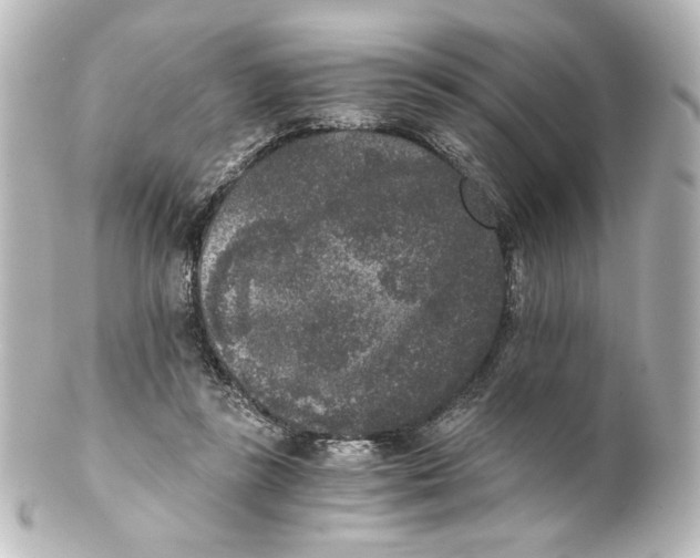 X0000101430355200807281006