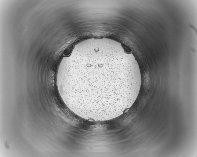 X0000101430356200807281006