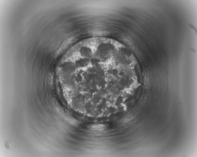 X0000101430357200807281006