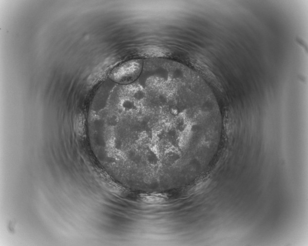 X0000101430359200807281006