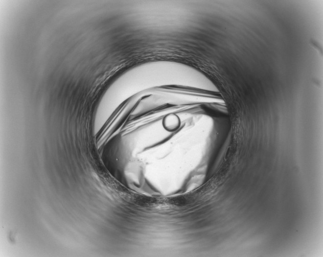 X0000101430360200807281006