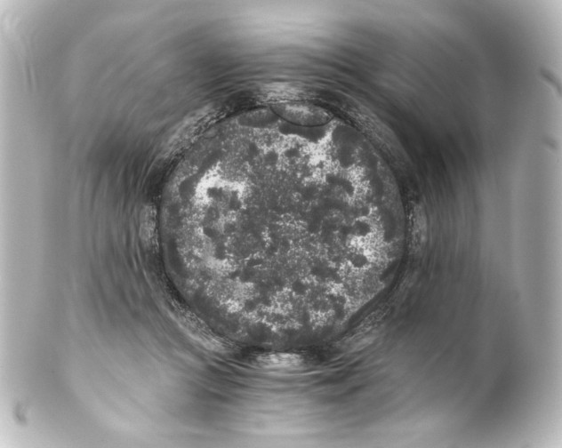 X0000101430361200807281006