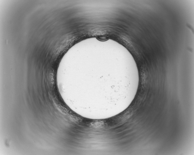 X0000101430362200807281006