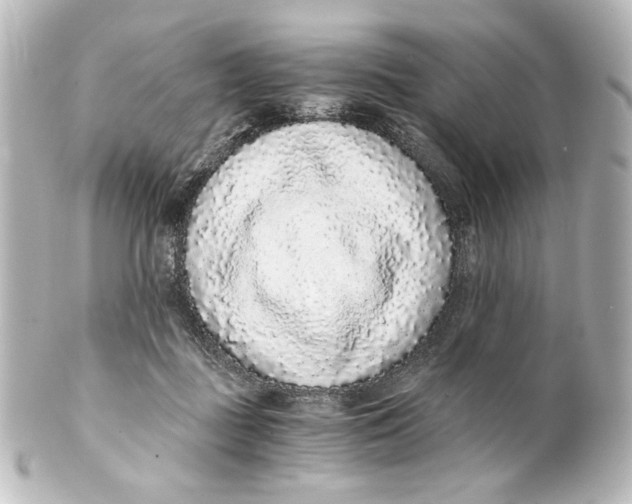 X0000101430363200807281006