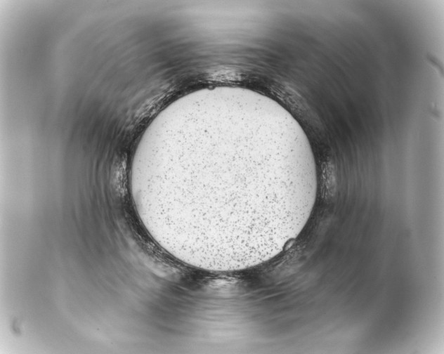 X0000101430364200807281006