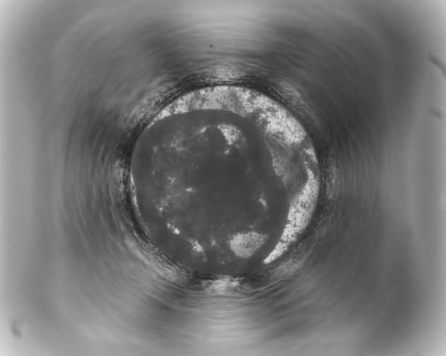 X0000101430366200807281006