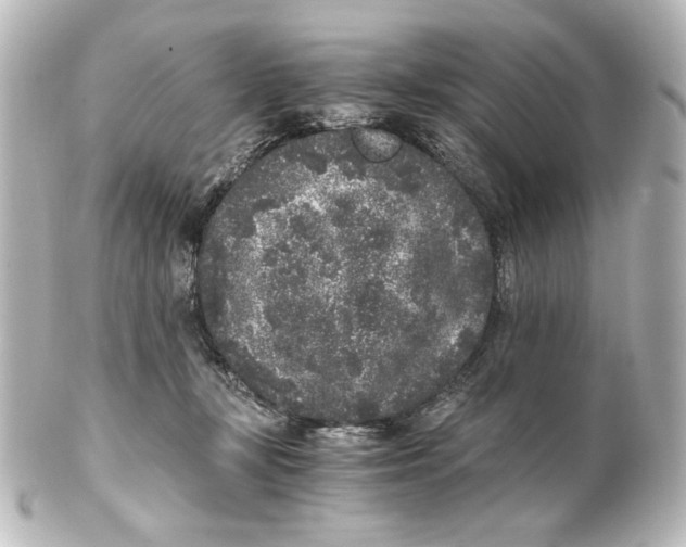 X0000101430367200807281006