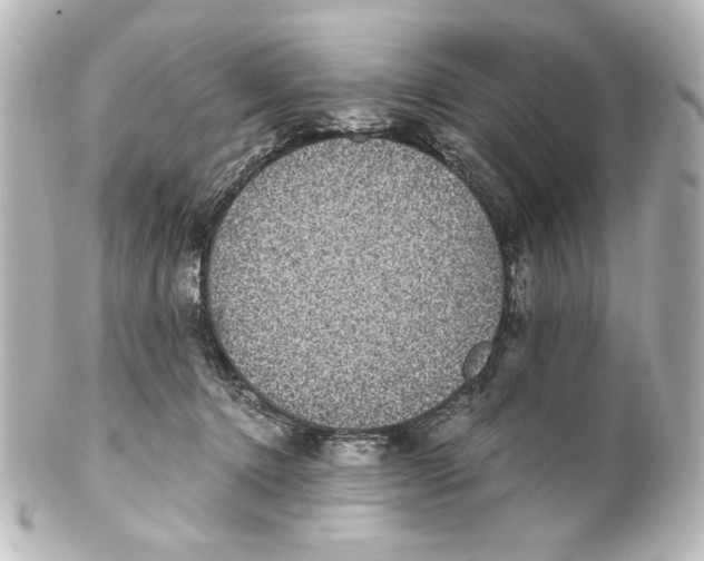 X0000101430368200807281006