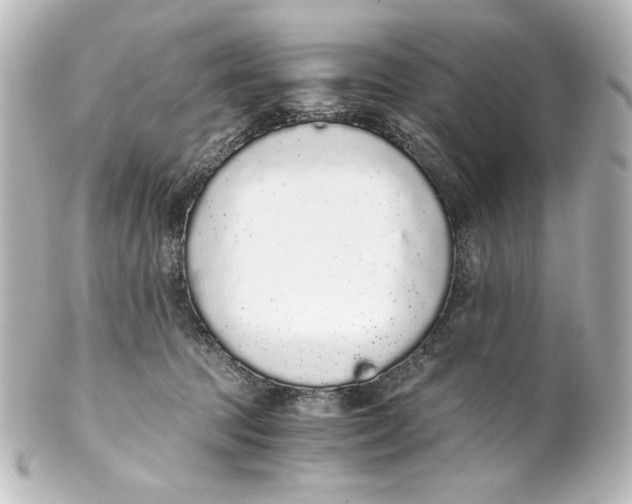 X0000101430369200807281006