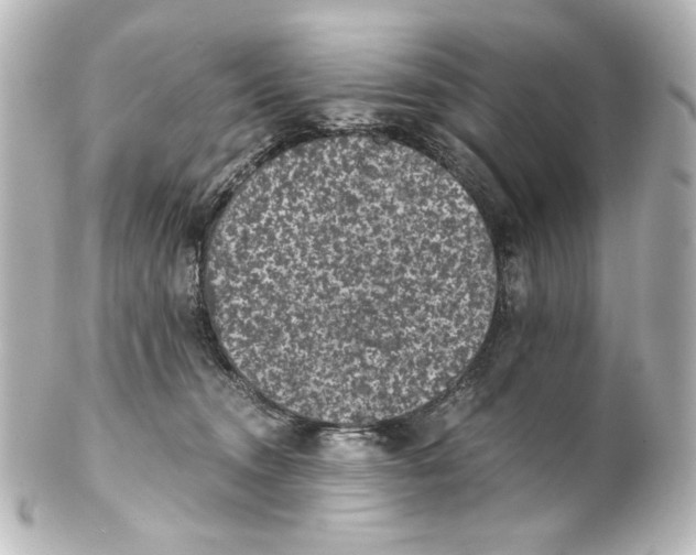 X0000101430372200807281006