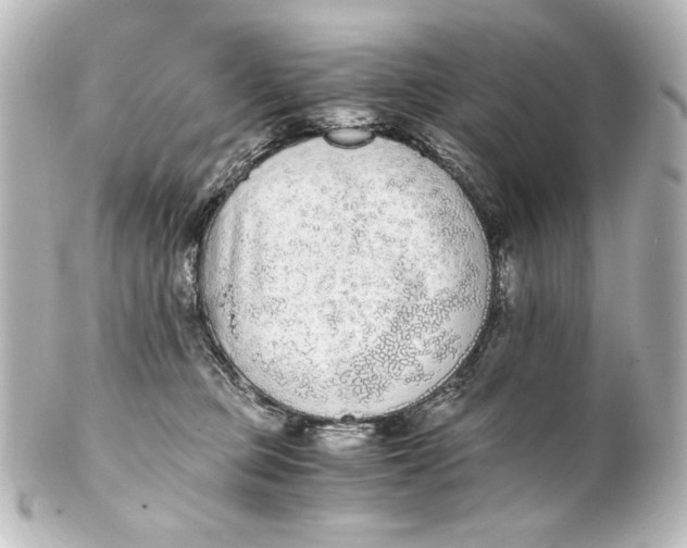 X0000101430373200807281006