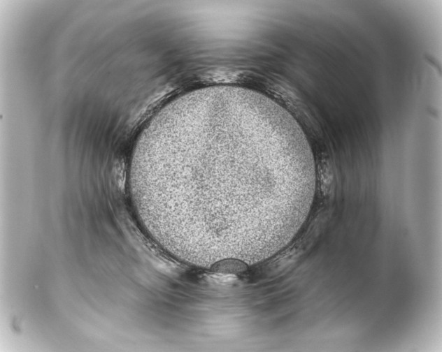 X0000101430374200807281006