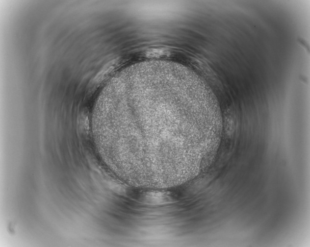 X0000101430375200807281006