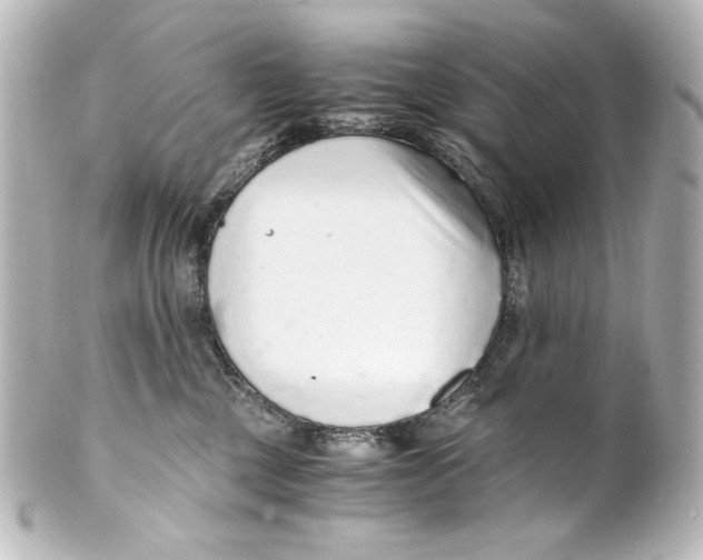 X0000101430377200807281006