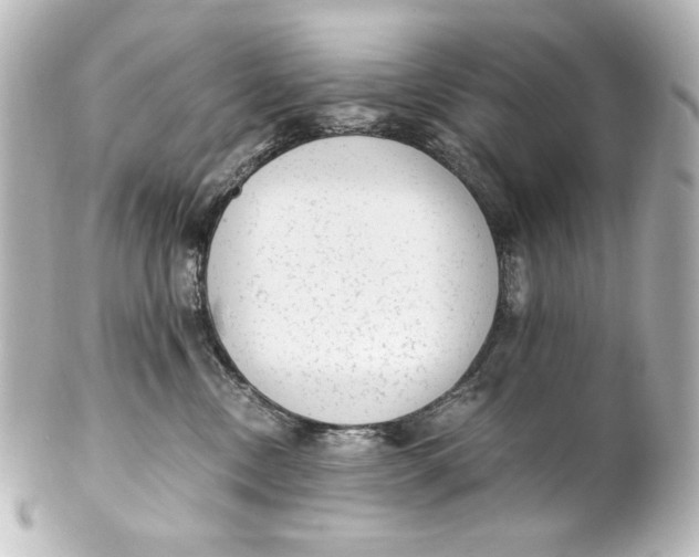 X0000101430378200807281006