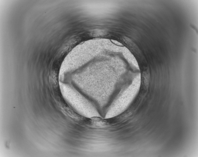 X0000101430380200807281006