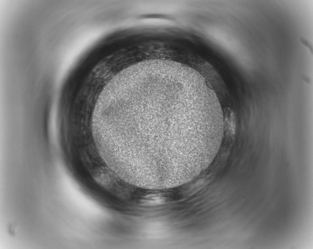 X0000101430381200807281006