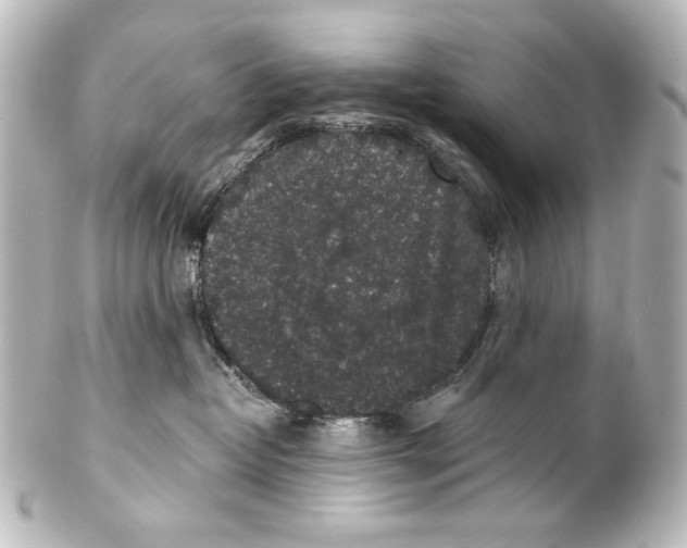 X0000101430382200807281006