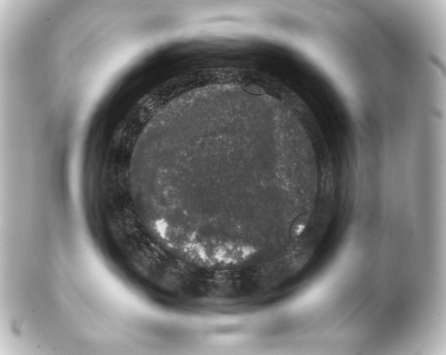 X0000101430383200807281006