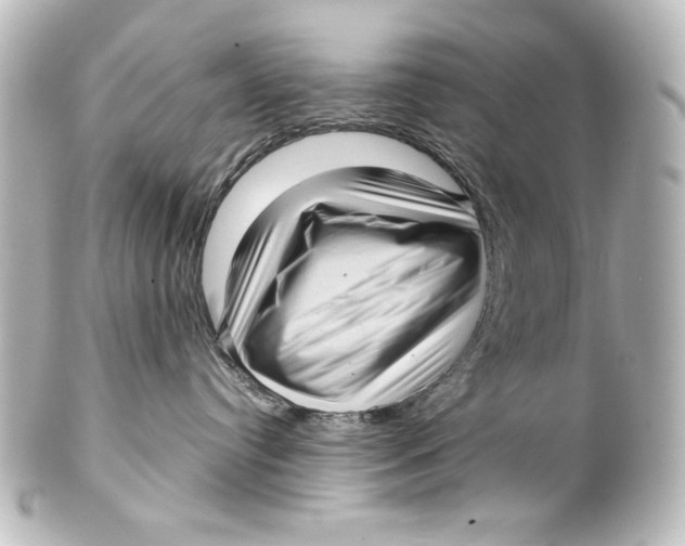 X0000101430384200807281006