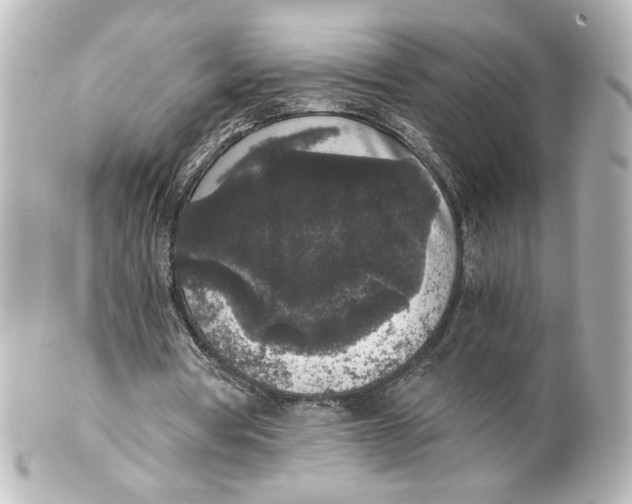 X0000101430386200807281005