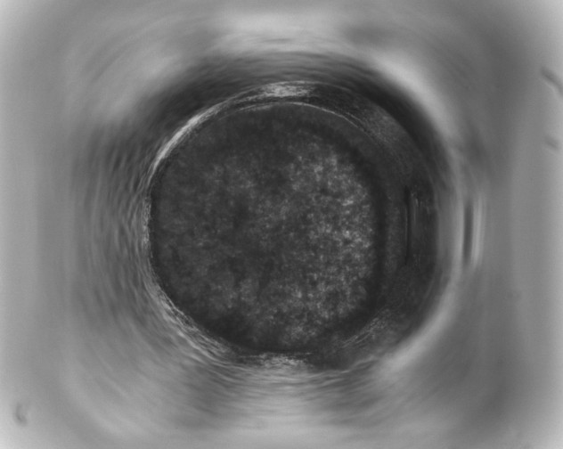 X0000101430387200807281005