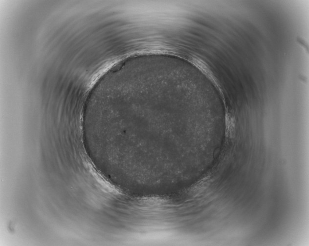 X0000101430389200807281005