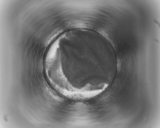 X0000101430390200807281005