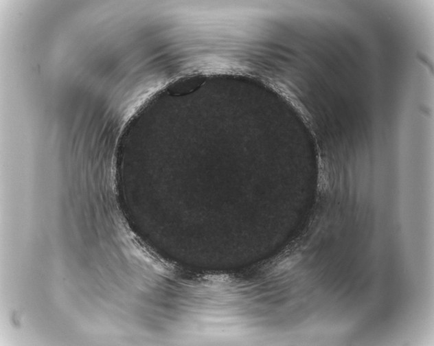 X0000101430391200807281005