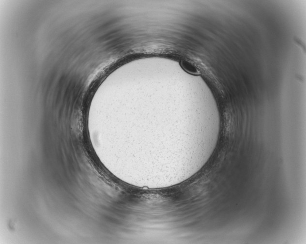 X0000101430392200807281005