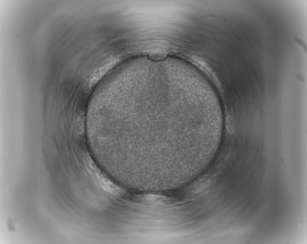 X0000101430393200807281005