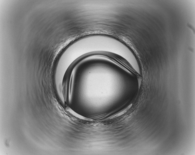 X0000101430395200807281005