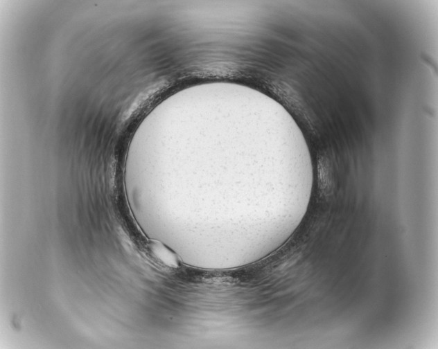 X0000101430396200807281005