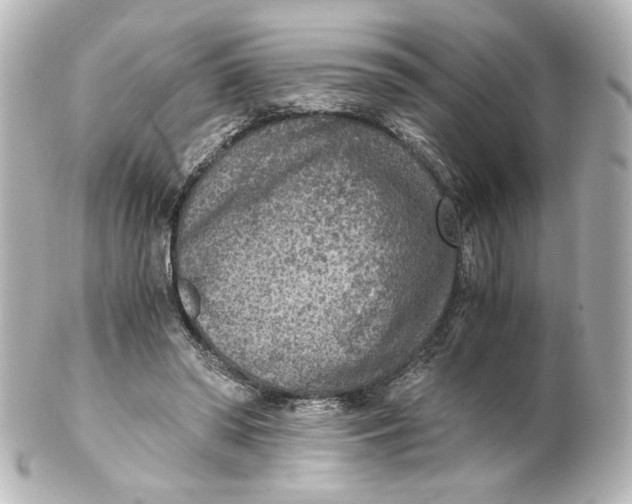 X0000101430398200807281005