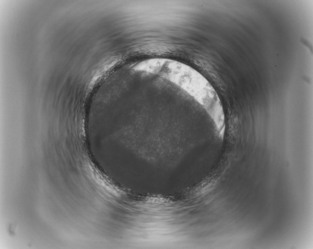 X0000101430399200807281005