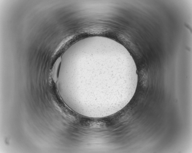 X0000101430400200807281005