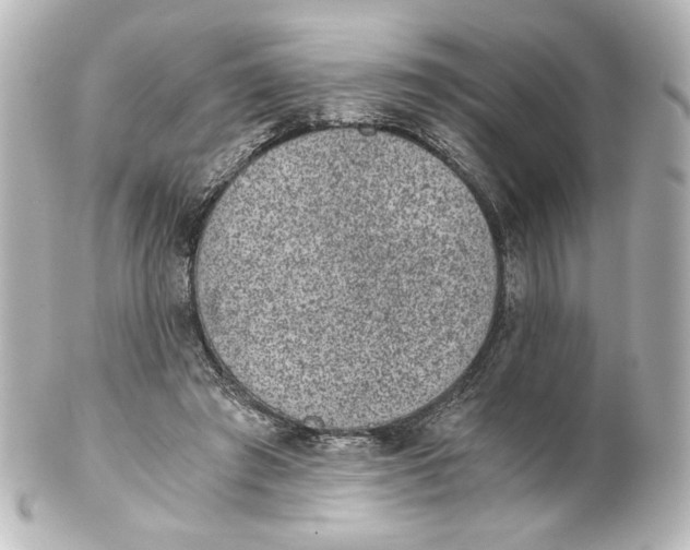 X0000101430401200807281005