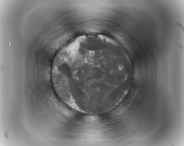 X0000101430402200807281005