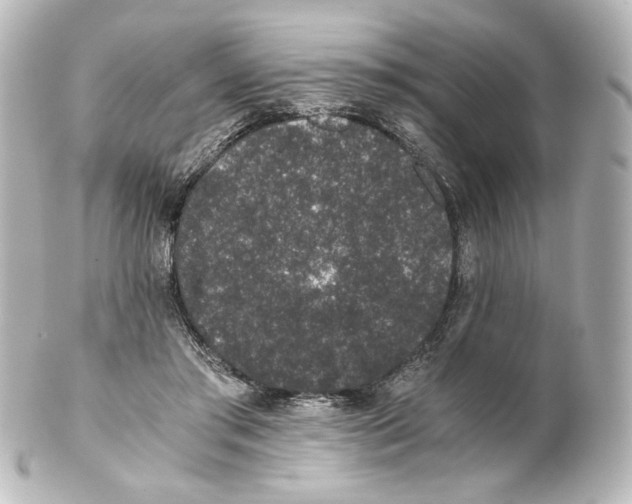 X0000101430405200807281005