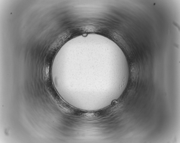 X0000101430406200807281005