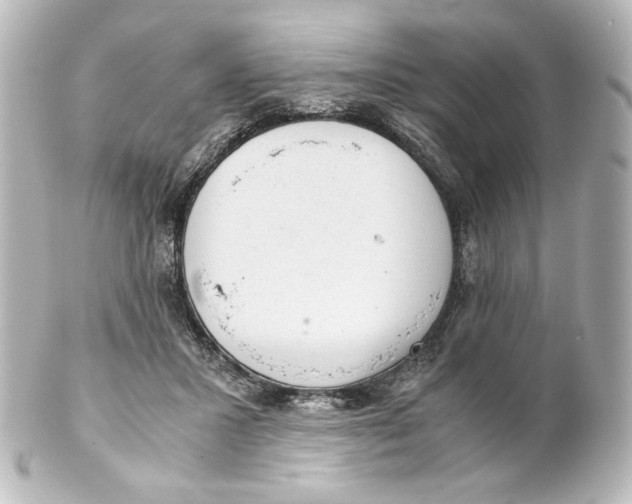 X0000101430407200807281005