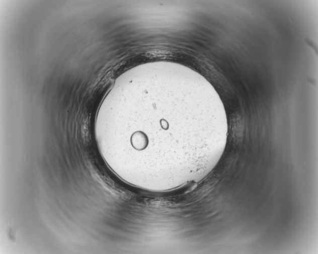 X0000101430408200807281005